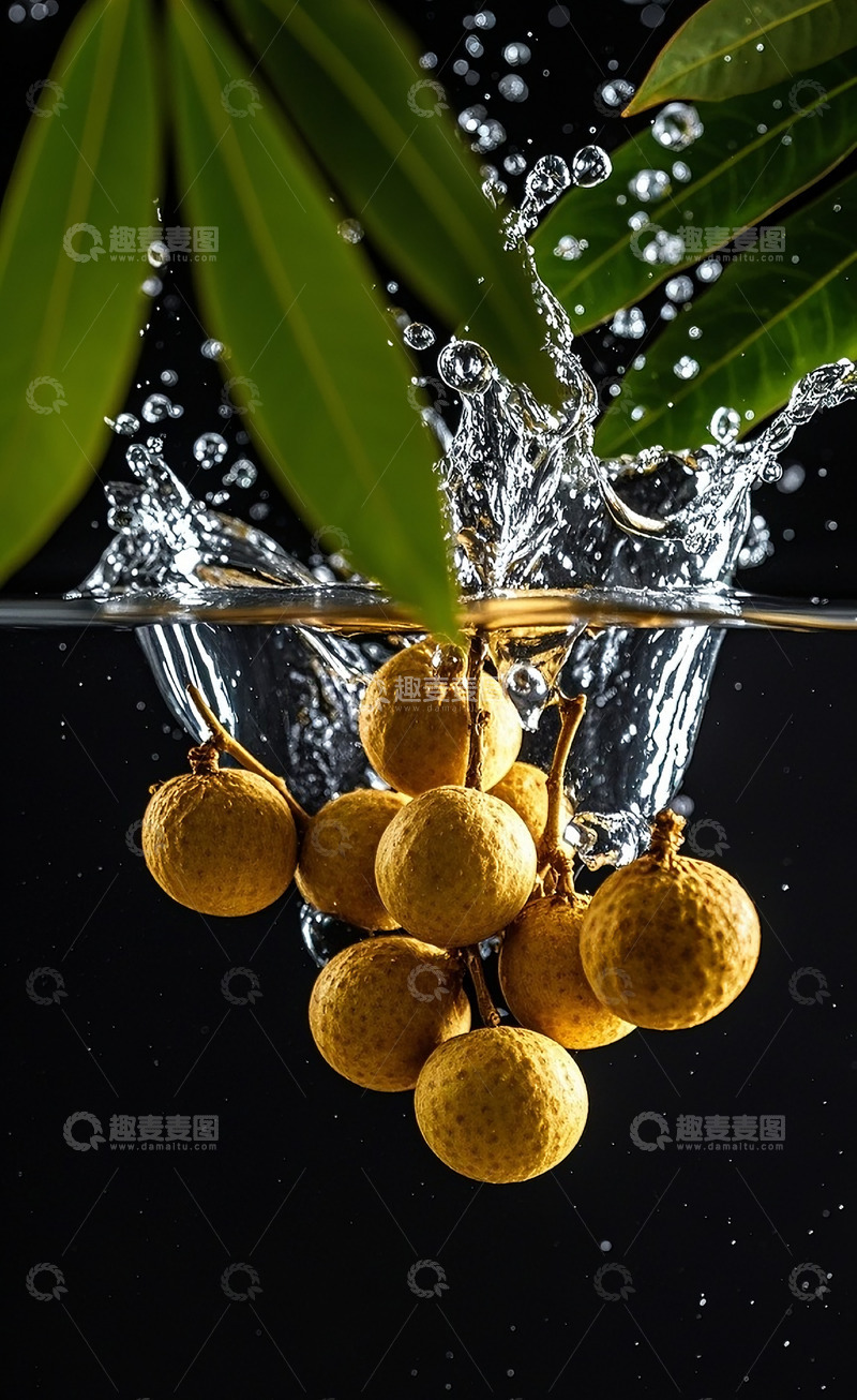 高清大图下载【趣麦麦图】龙眼17