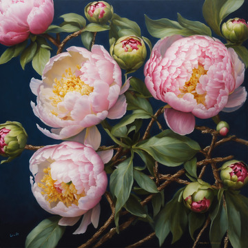 粉色牡丹花卉AI插画海报图片素材5