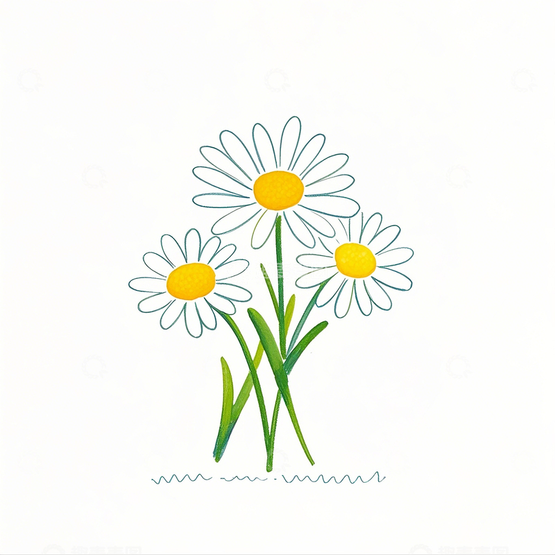 高清大图下载【趣麦麦图】卡通简笔画手绘小雏菊素材