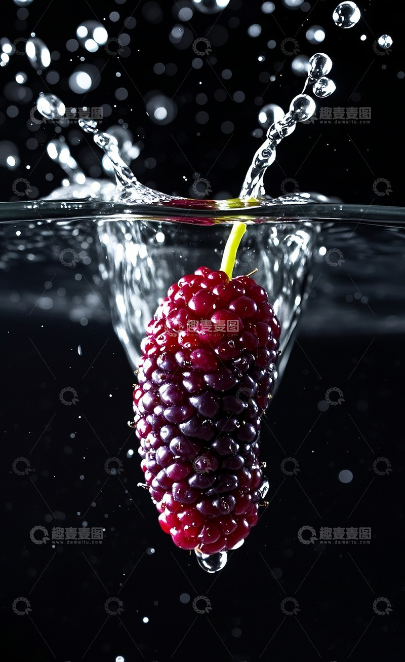 高清大图下载【趣麦麦图】桑葚26