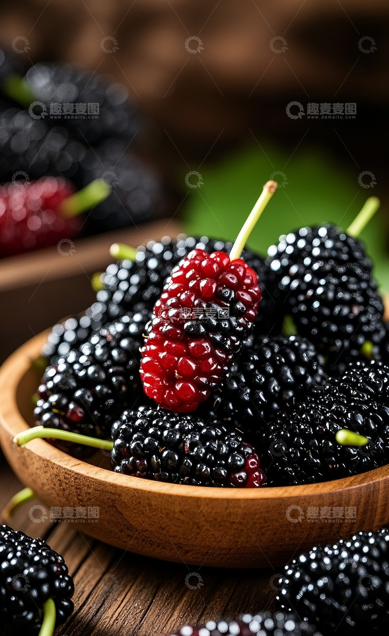 高清大图下载【趣麦麦图】桑葚34