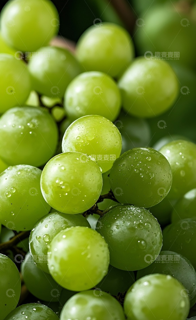 高清大图下载【趣麦麦图】青葡萄11