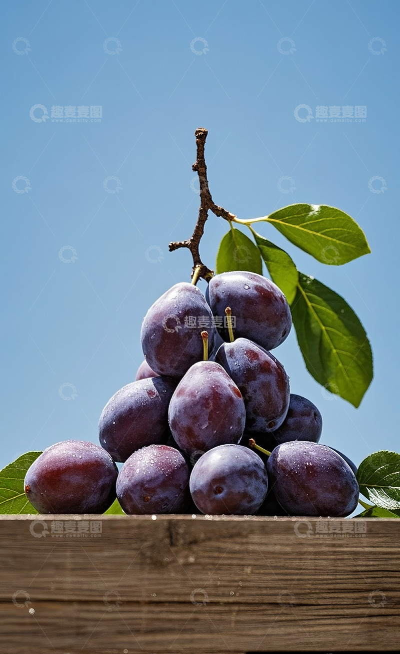 高清大图下载【趣麦麦图】西梅16