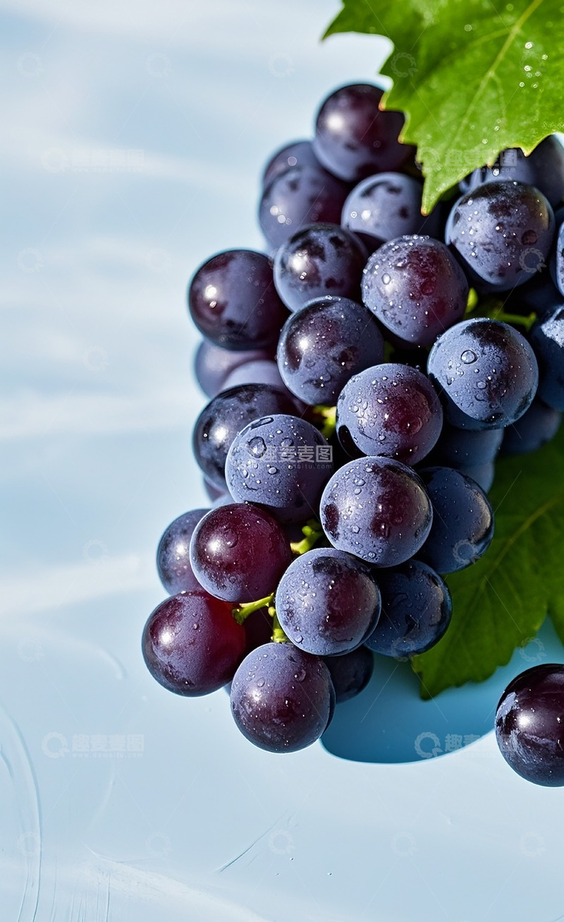 高清大图下载【趣麦麦图】紫葡萄8