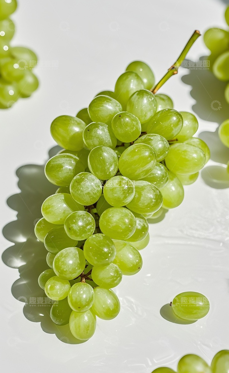 高清大图下载【趣麦麦图】青葡萄9
