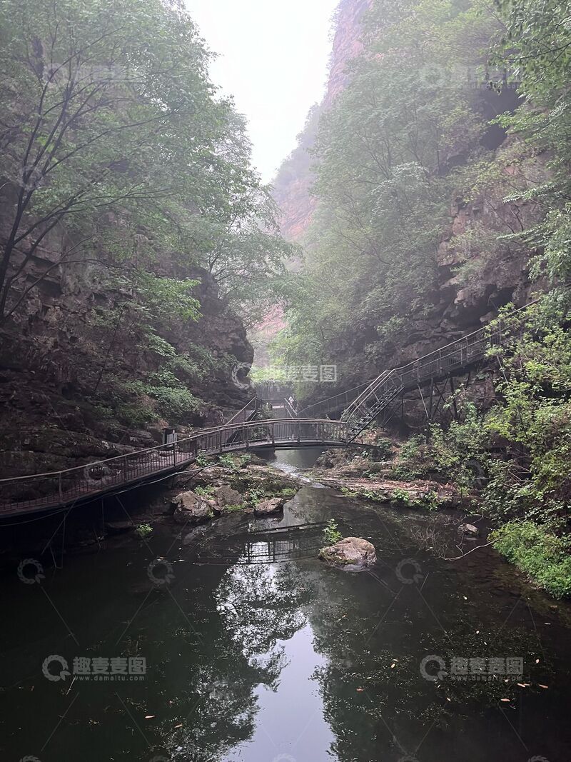 高清大图下载【趣麦麦图】森林风景摄影