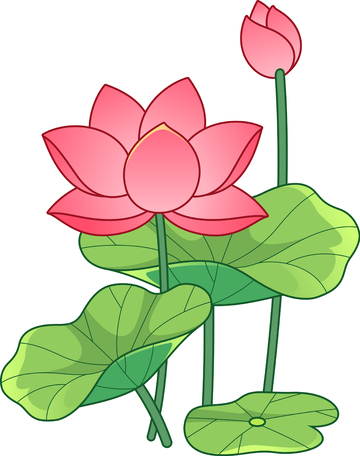 矢量荷花荷叶卡通描边插画