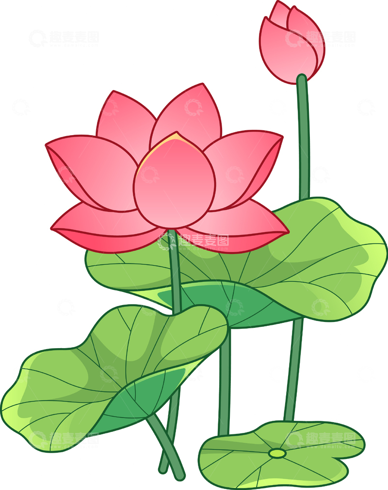 源文件下载【趣麦麦图】矢量荷花荷叶卡通描边插画
