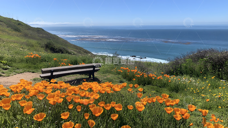 高清大图下载【趣麦麦图】大海边山坡美景1