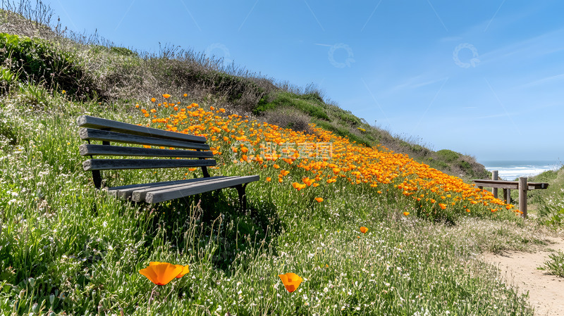 高清大图下载【趣麦麦图】大海边山坡美景