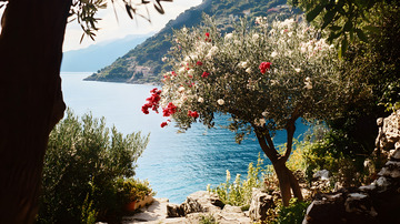 地中海风情大海边的花树1