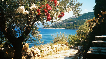 地中海风情大海边的花树