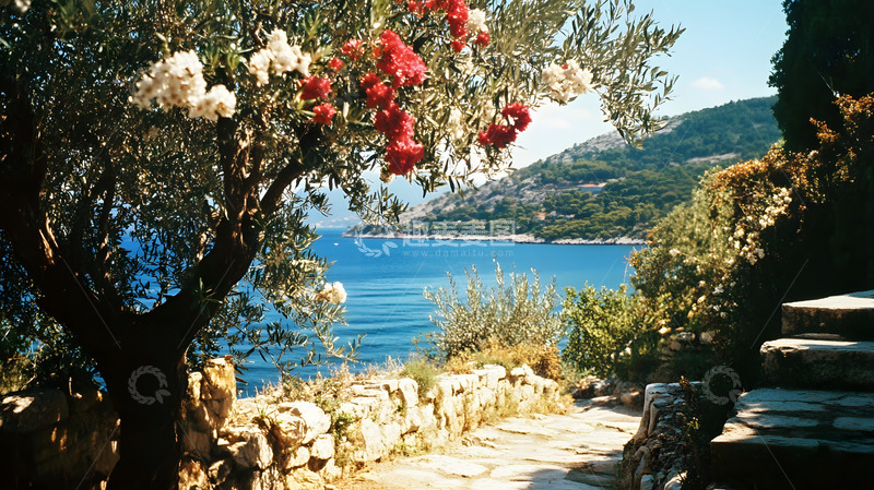 高清大图下载【趣麦麦图】地中海风情大海边的花树
