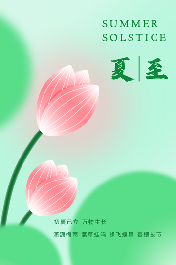 夏至节气海报3