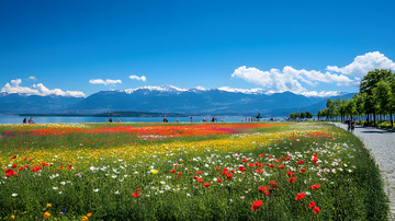 国内旅游休闲骑行场景1