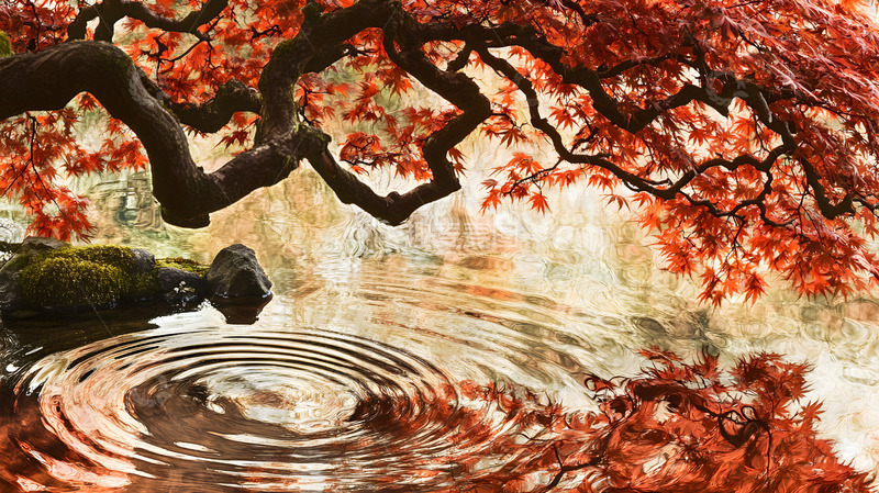 高清大图下载【趣麦麦图】秋天的红叶