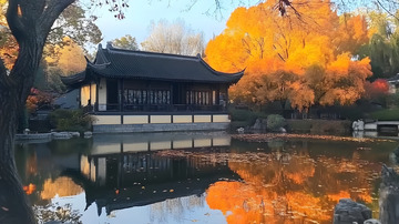 秋天的日式庭院2