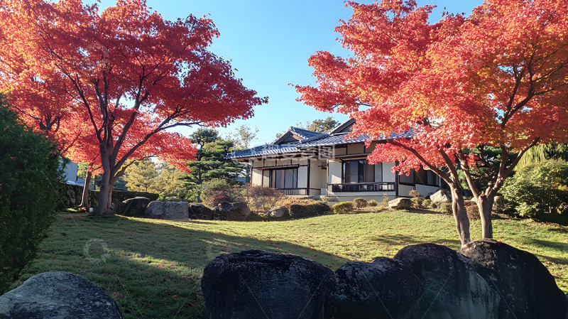 高清大图下载【趣麦麦图】秋天的日式庭院5