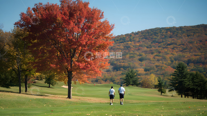 高清大图下载【趣麦麦图】秋天的大树4