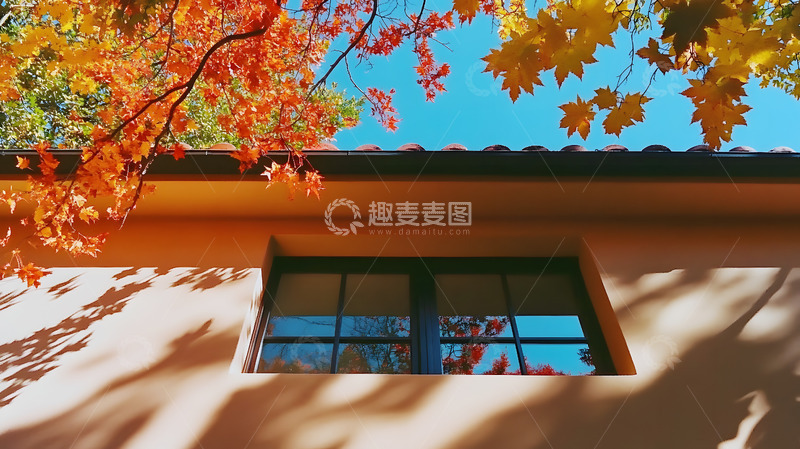 高清大图下载【趣麦麦图】秋天彩色的枝叶6