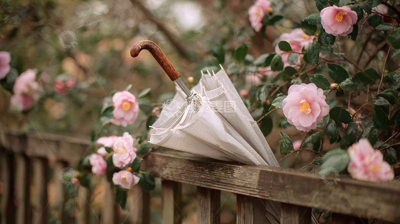 高清大图下载【趣麦麦图】春天雨伞和花卉文艺风场景1