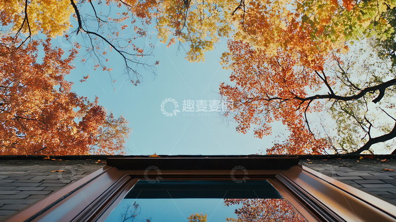 高清大图下载【趣麦麦图】秋天彩色的枝叶1