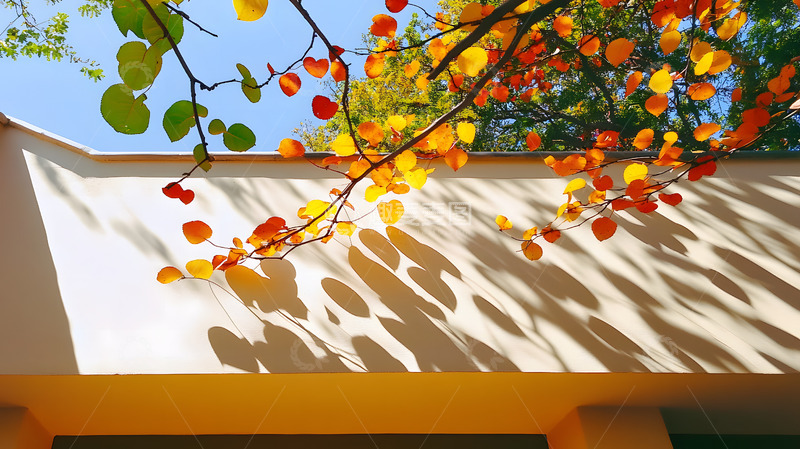 高清大图下载【趣麦麦图】秋天彩色的枝叶9