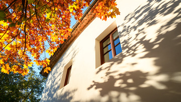 秋天彩色的枝叶2