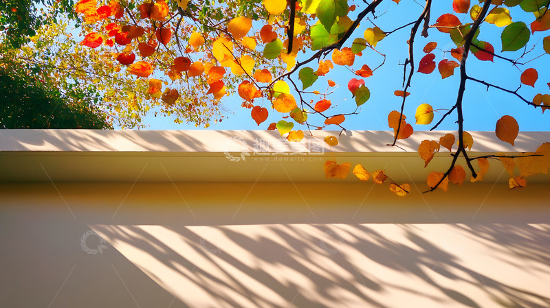 高清大图下载【趣麦麦图】秋天彩色的枝叶5