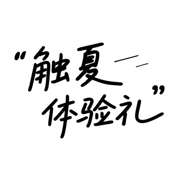 触夏体验礼手写艺术字
