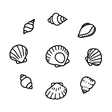 海洋贝壳简笔画图案