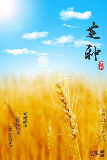 二十四节气之芒种