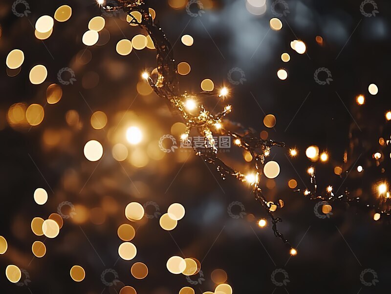 高清大图下载【趣麦麦图】微距金光闪烁 夜浪漫灯光