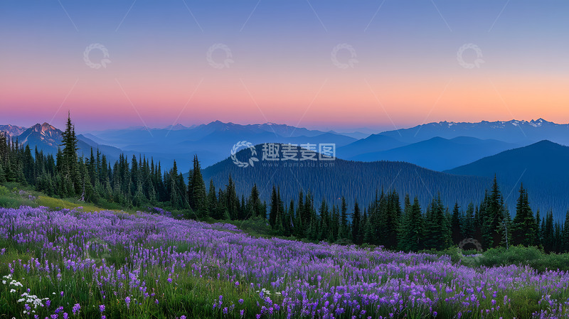 高清大图下载【趣麦麦图】山上的晨光3