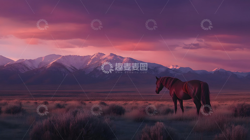 高清大图下载【趣麦麦图】草原上的马儿6