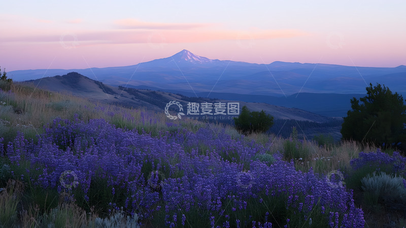高清大图下载【趣麦麦图】山上的晨光
