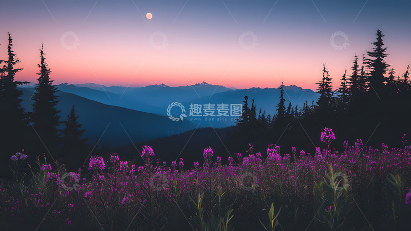 高清大图下载【趣麦麦图】山上的晨光2