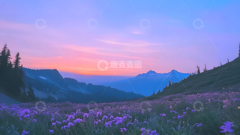 高清大图下载【趣麦麦图】山上的晨光1