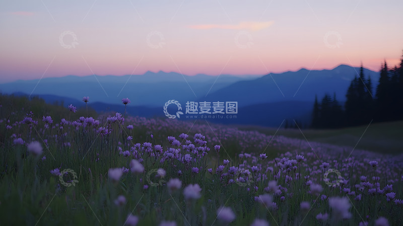 高清大图下载【趣麦麦图】山上的晨光4