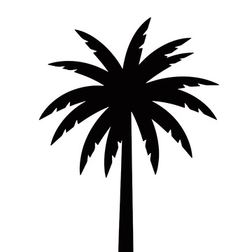 简约棕榈树剪影图案