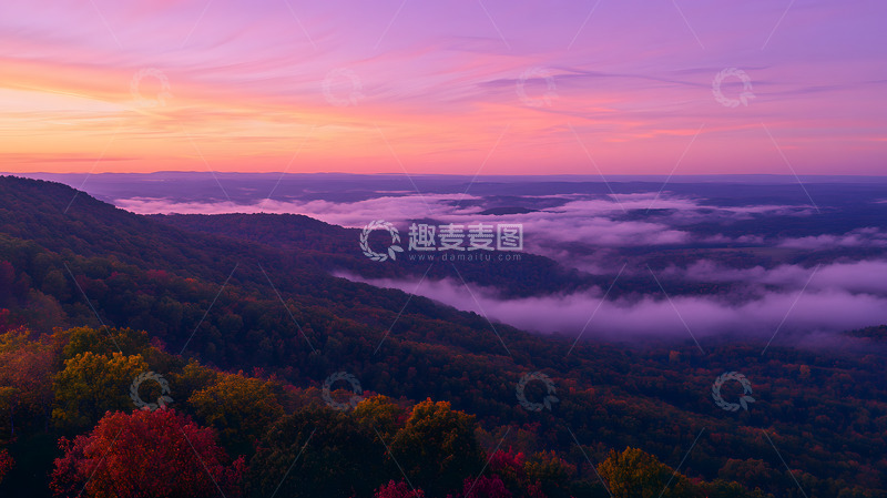高清大图下载【趣麦麦图】秋天的森林植被1