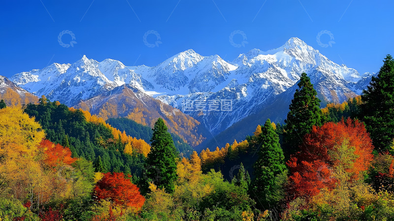 高清大图下载【趣麦麦图】秋冬雪山下的森林