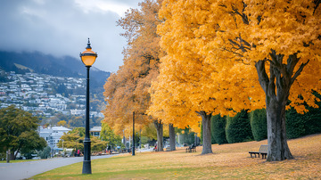 秋天国外小城镇3