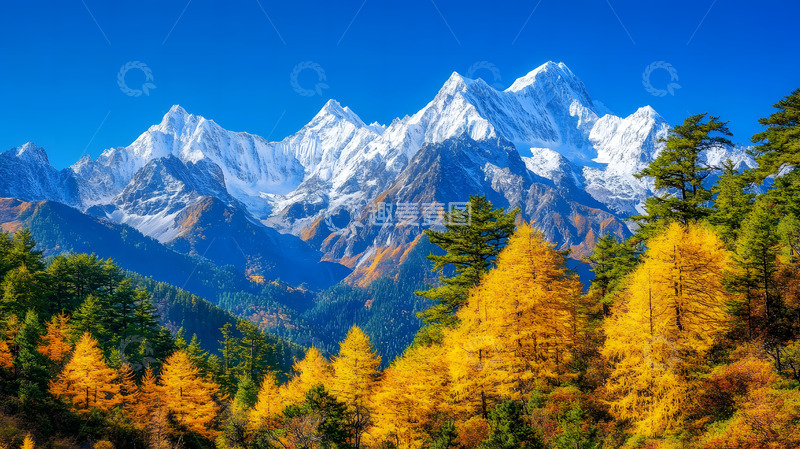 高清大图下载【趣麦麦图】秋冬雪山下的森林3