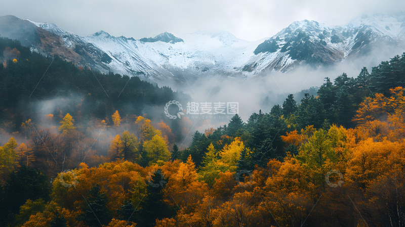 高清大图下载【趣麦麦图】秋冬雪山下的森林2