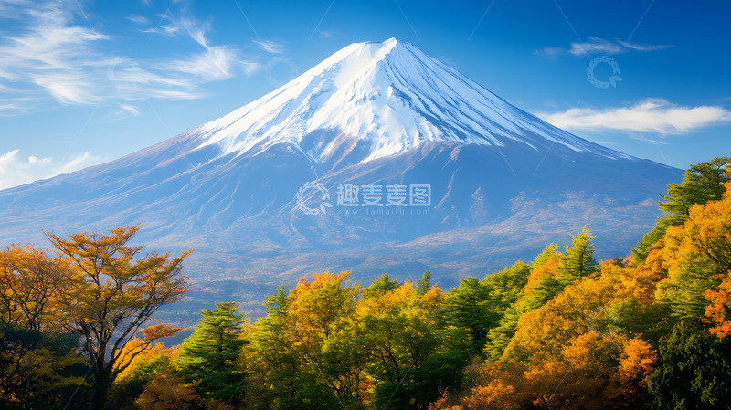 秋冬雪山下的森林1