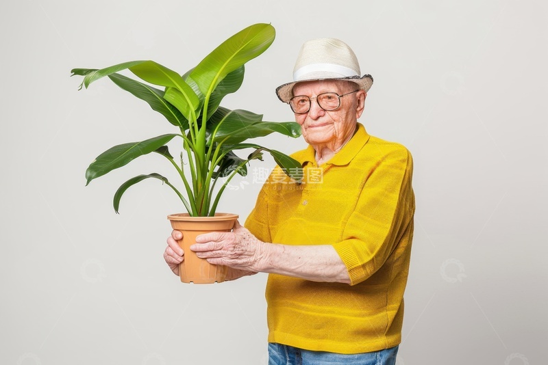 高清大图下载【趣麦麦图】拿着盆栽的一位老人