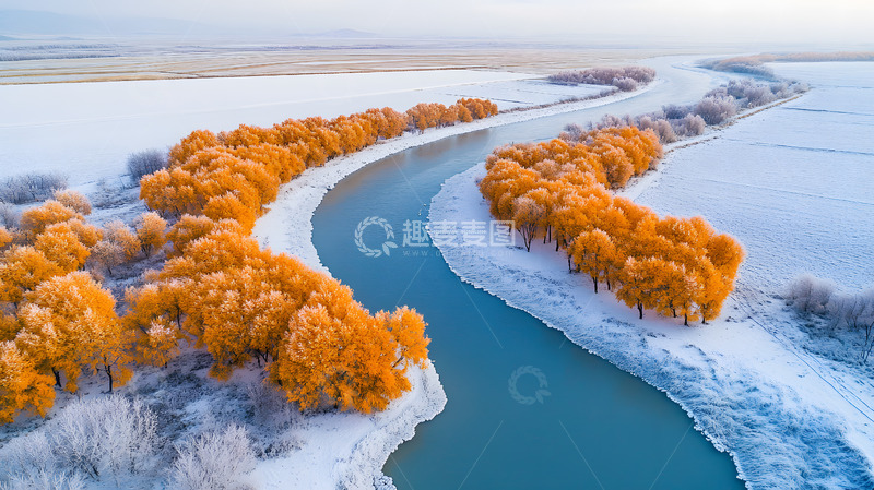 高清大图下载【趣麦麦图】冬季的雪地枫叶3
