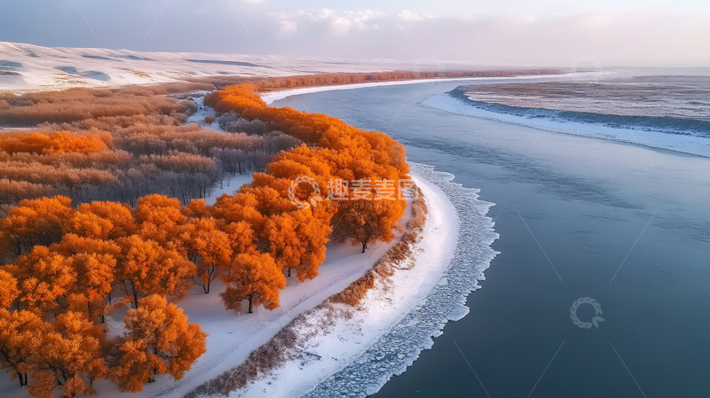 高清大图下载【趣麦麦图】冬季的雪地枫叶