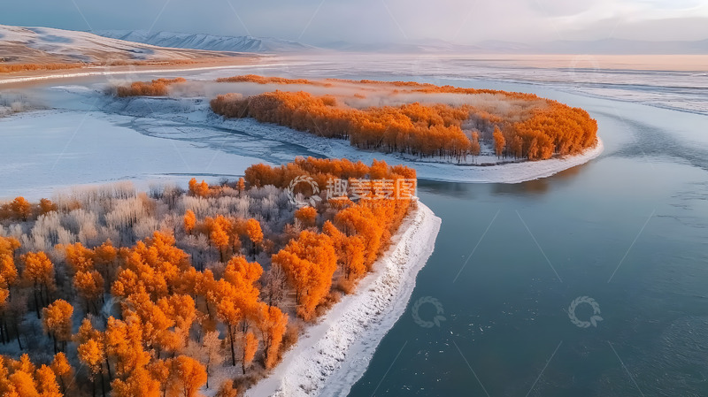 高清大图下载【趣麦麦图】冬季的雪地枫叶2